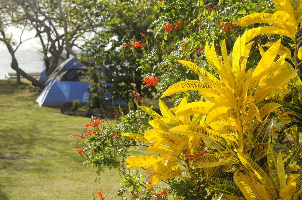 Fish Tobago Guesthouse Buccoo Exterior foto